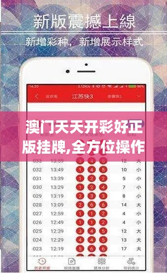 澳门天天开彩好正版挂牌,全方位操作计划_运动版WMW9.73