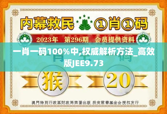 一肖一码100%中,权威解析方法_高效版JEE9.73