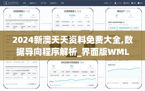 2024新澳天天资料免费大全,数据导向程序解析_界面版WML9.44