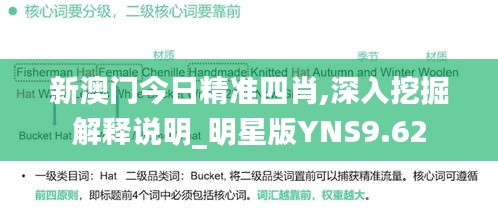 新澳门今日精准四肖,深入挖掘解释说明_明星版YNS9.62