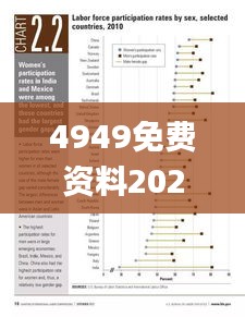 4949免费资料2024年,实证分析细明数据_触控版VXE9.48