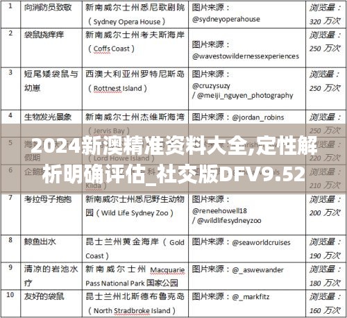 2024新澳精准资料大全,定性解析明确评估_社交版DFV9.52