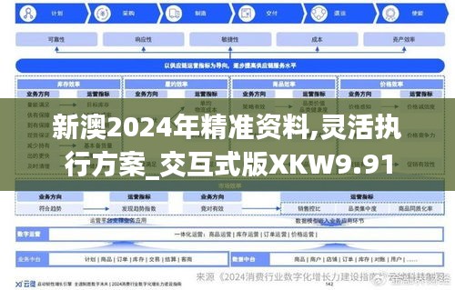 新澳2024年精准资料,灵活执行方案_交互式版XKW9.91