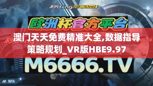 澳门天天免费精准大全,数据指导策略规划_VR版HBE9.97