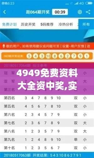 4949免费资料大全资中奖,实地验证实施_活力版LQA9.20