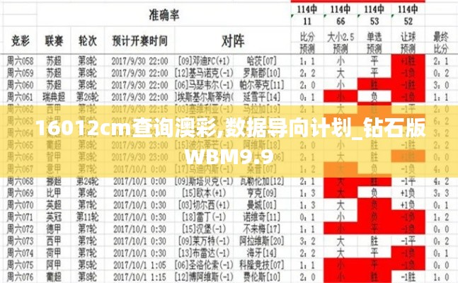 16012cm查询澳彩,数据导向计划_钻石版WBM9.9