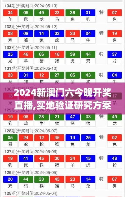 2024新澳门六今晚开奖直播,实地验证研究方案_互联版BQE9.13