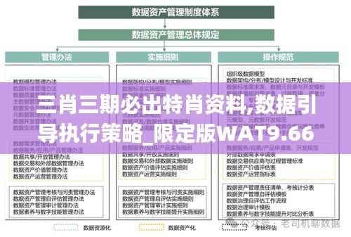 三肖三期必出特肖资料,数据引导执行策略_限定版WAT9.66