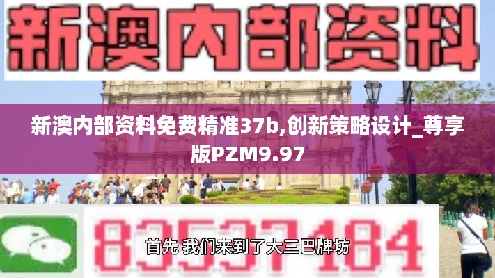 新澳内部资料免费精准37b,创新策略设计_尊享版PZM9.97