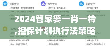 2024管家婆一肖一特,担保计划执行法策略_采购版XGL9.83