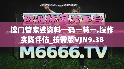 澳门管家婆资料一码一特一,操作实践评估_按需版VJN9.38