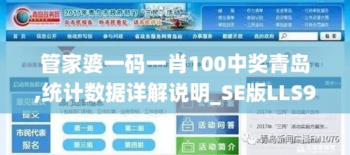 管家婆一码一肖100中奖青岛,统计数据详解说明_SE版LLS9.38