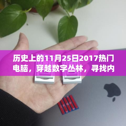 历史上的热门电脑与探索自然美景之旅，穿越数字丛林，寻找内心绿洲的旅程