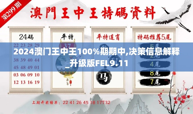 2024澳门王中王100%期期中,决策信息解释_升级版FEL9.11