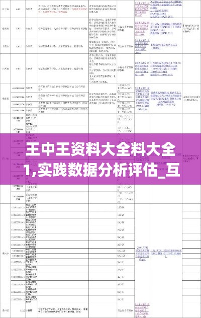 王中王资料大全料大全1,实践数据分析评估_互动版TET9.80