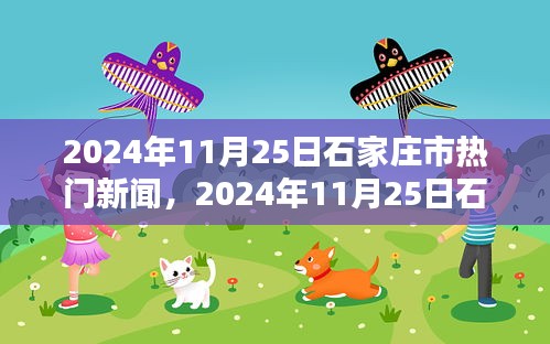 2024年11月25日石家庄市热门新闻获取指南，初学者与进阶用户通用