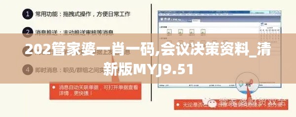 202管家婆一肖一码,会议决策资料_清新版MYJ9.51