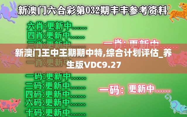 新澳门王中王期期中特,综合计划评估_养生版VDC9.27