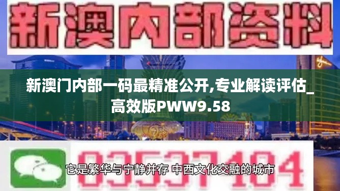 新澳门内部一码最精准公开,专业解读评估_高效版PWW9.58