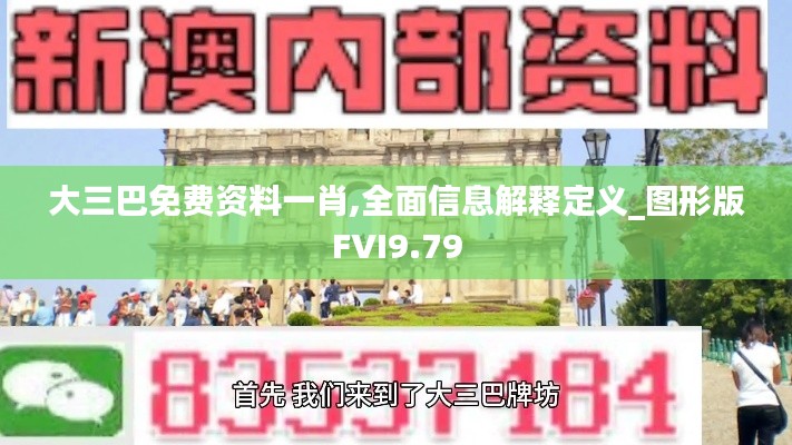 大三巴免费资料一肖,全面信息解释定义_图形版FVI9.79