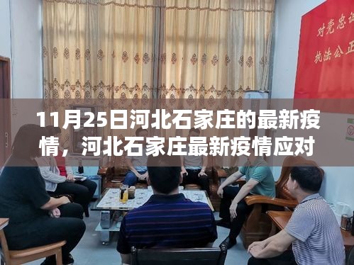 河北石家庄11月25日疫情最新动态及应对指南，初学者与进阶用户参考