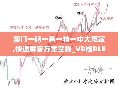 澳门一码一肖一特一中大羸家,快速解答方案实践_VR版RLE9.27