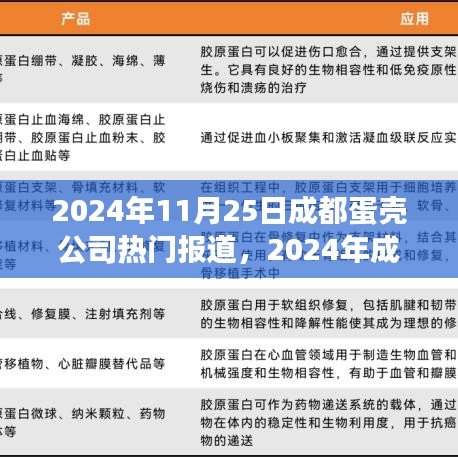 2024年成都蛋壳公司热门报道聚焦，观点之争与业界分析