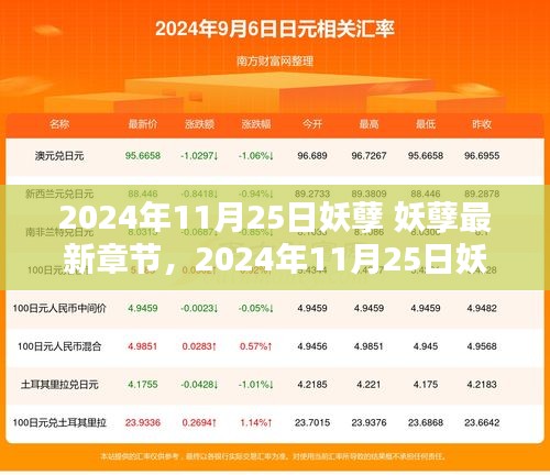 揭秘，2024年11月25日妖孽最新章节