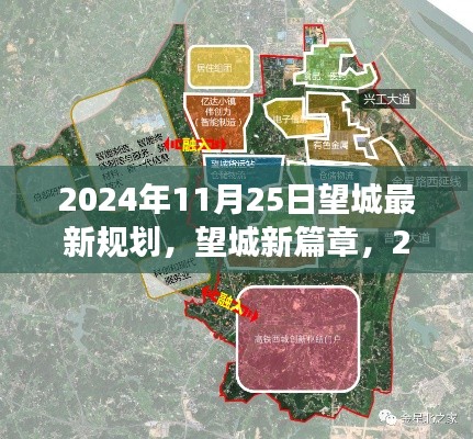 望城新篇章揭秘，2024年规划展望与影响洞察