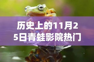 历史上的11月25日，青蛙影院盛况与经典影片风靡时刻