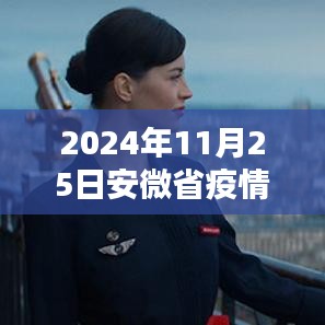 2024年11月25日安徽省疫情最新信息及数据分析指南（初学者与进阶用户必读）