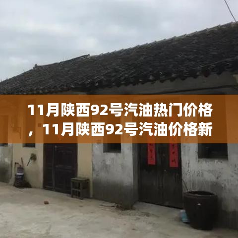 陕西11月92号汽油价格动态，变化中的力量，学习成就未来新篇章