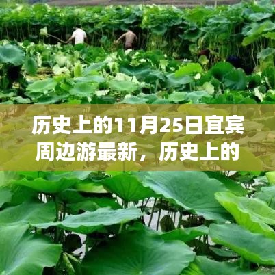 历史上的11月25日宜宾周边游全新体验深度评测与最新动态探索