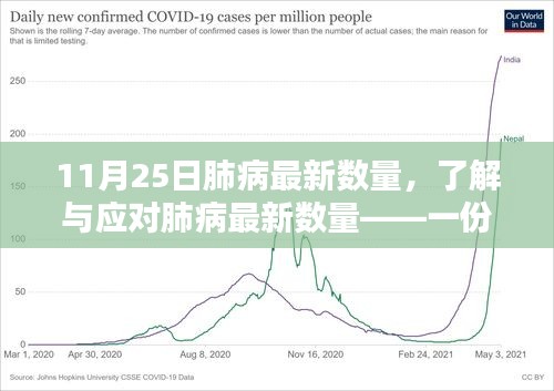 肺病最新数量解析与应对指南，初学者到进阶用户的必备手册（11月25日更新）