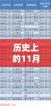 历史上的重要时刻与最新政策试点深度评测，11月25日政策解读与介绍