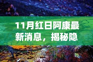 揭秘隐藏小巷的神秘美食天堂，阿康最新消息速递（11月更新）