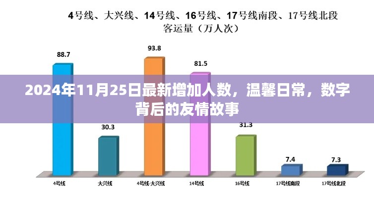 温馨日常，数字背后的友情故事——最新人数增加，2024年11月25日记录