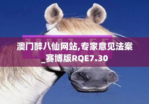 澳门醉八仙网站,专家意见法案_赛博版RQE7.30