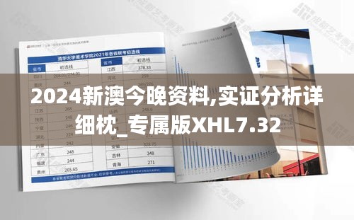 2024新澳今晚资料,实证分析详细枕_专属版XHL7.32