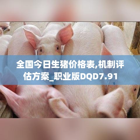 全国今日生猪价格表,机制评估方案_职业版DQD7.91