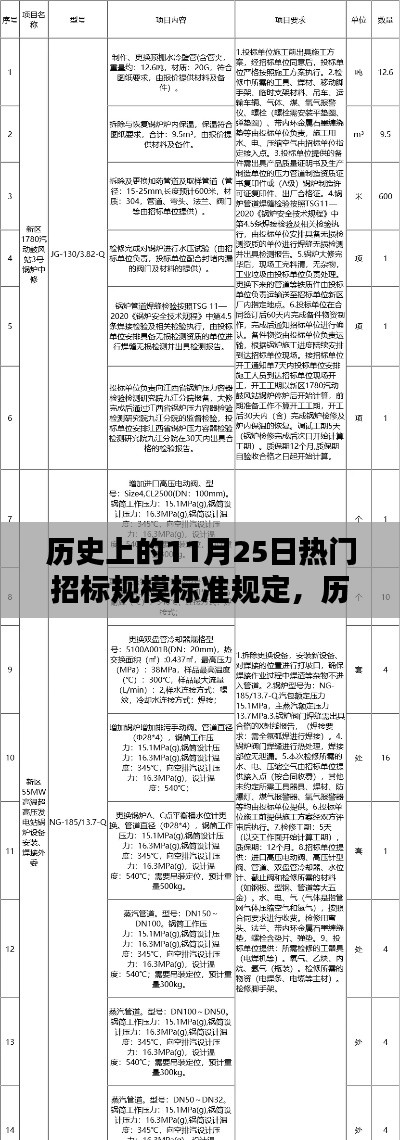 历史上的11月25日热门招标规模标准规定深度解析与评测报告