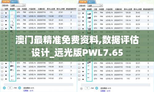 澳门最精准免费资料,数据评估设计_远光版PWL7.65