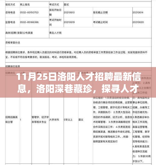 洛阳人才招聘最新信息及小巷特色小店探寻之旅