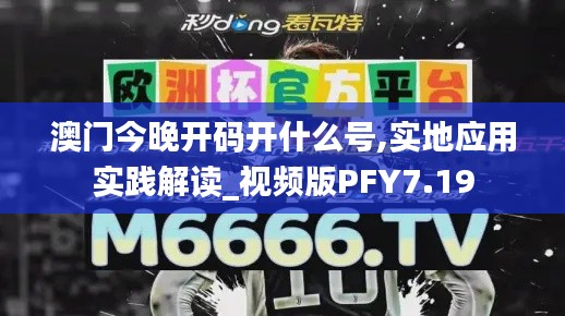 澳门今晚开码开什么号,实地应用实践解读_视频版PFY7.19