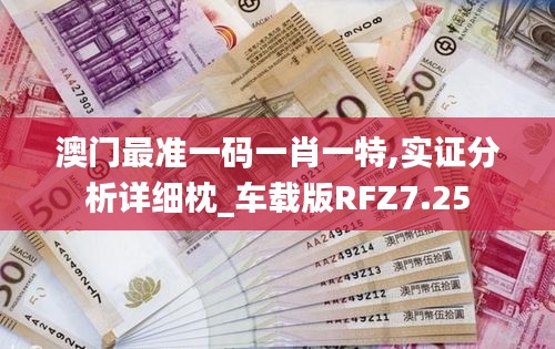 澳门最准一码一肖一特,实证分析详细枕_车载版RFZ7.25