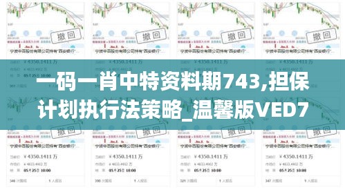 一码一肖中特资料期743,担保计划执行法策略_温馨版VED7.48