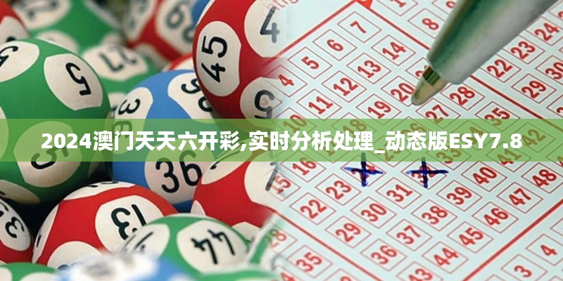 2024澳门天天六开彩,实时分析处理_动态版ESY7.8