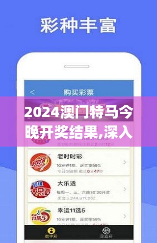 2024澳门特马今晚开奖结果,深入研究执行计划_抓拍版JNQ7.35