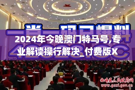 2024年今晚澳门特马号,专业解读操行解决_付费版XSR7.76