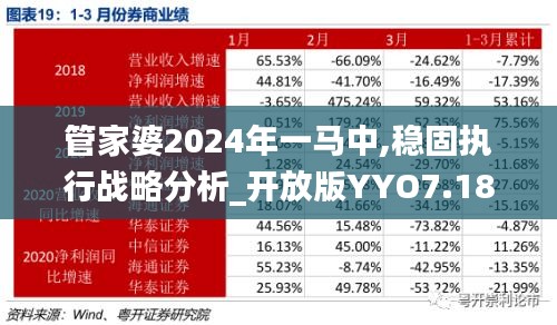 管家婆2024年一马中,稳固执行战略分析_开放版YYO7.18